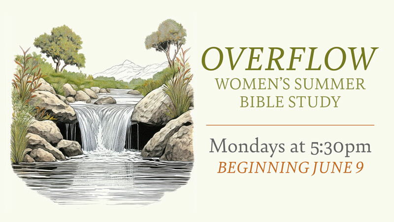 Overflow Bible Study