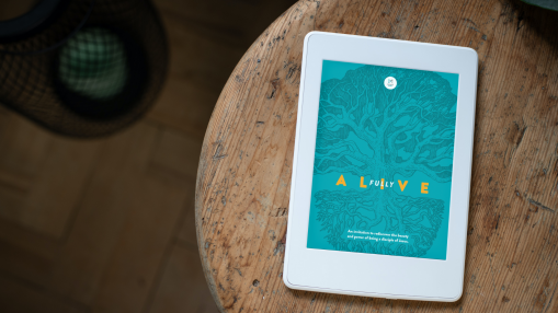 Fully Alive E-Book