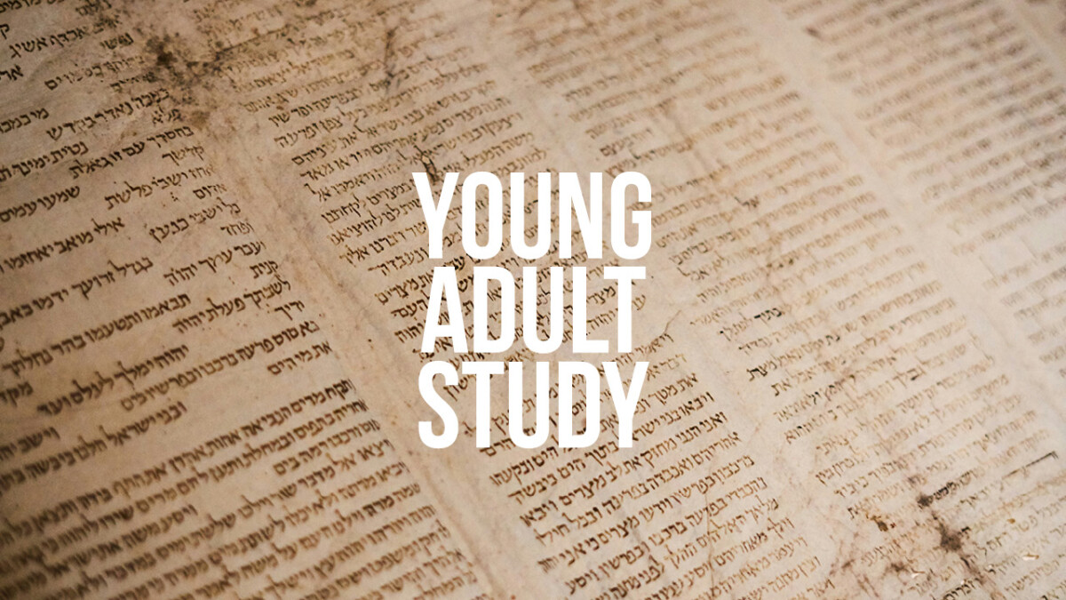 Young Adult Study