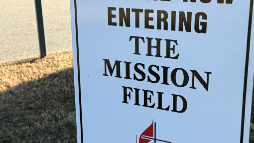 Being Sheepish: Social Justice Team