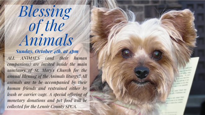 Blessing of the Animals