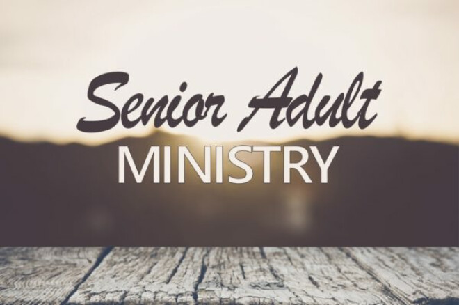 Senior Adults: Christmas Party