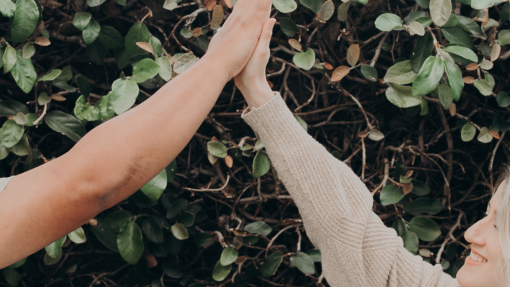 The Church and Gender