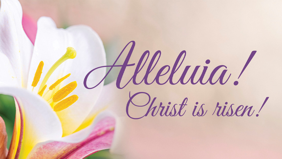 Online Worship: Sunday April 5