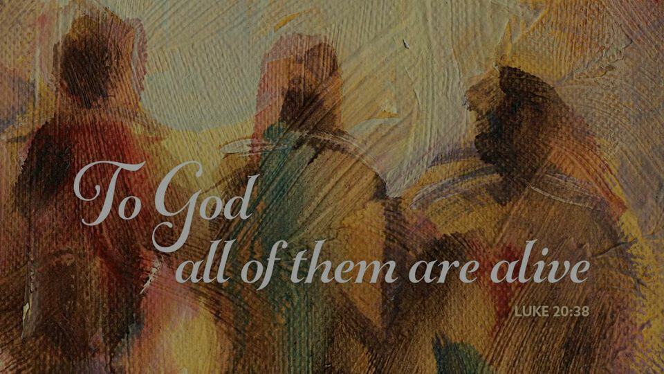 Watch November 9 Live Stream