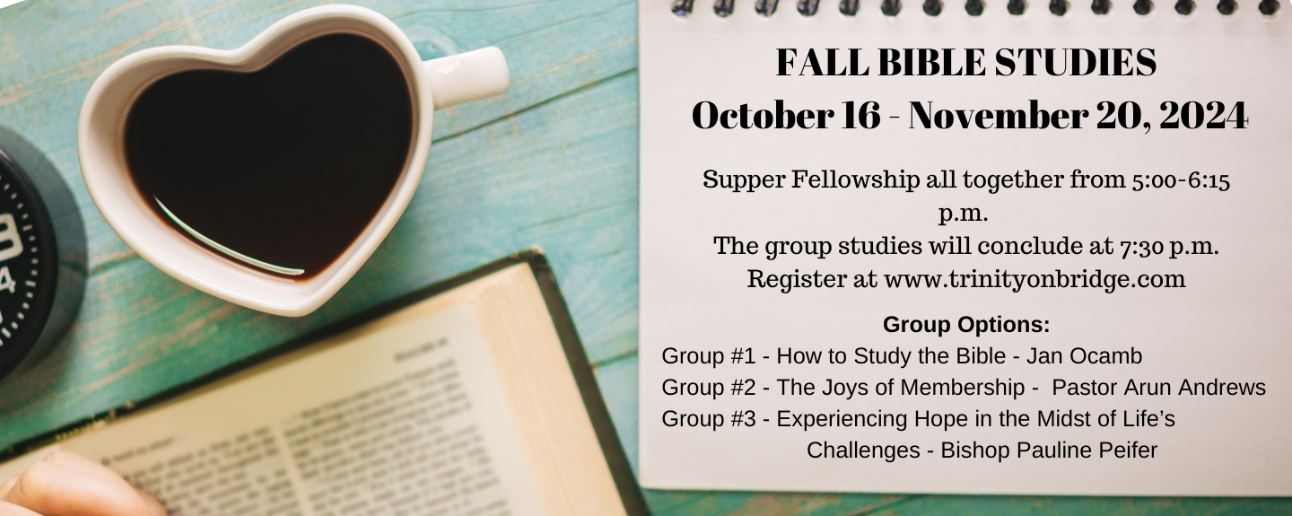 Fall Discipleship Studies