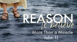 More Than a Miracle