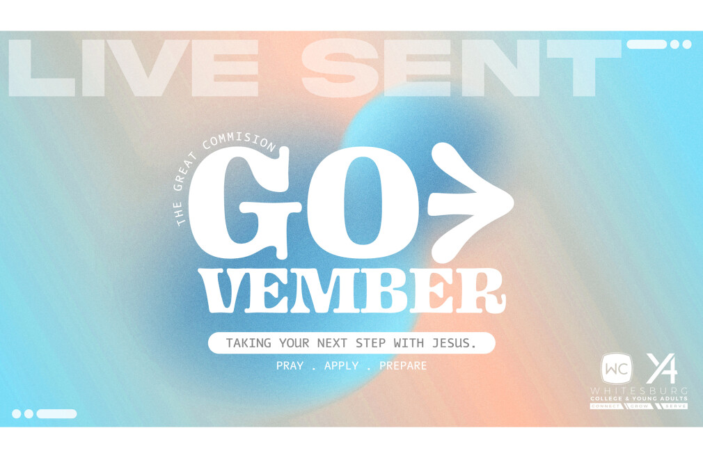 GO-Vember