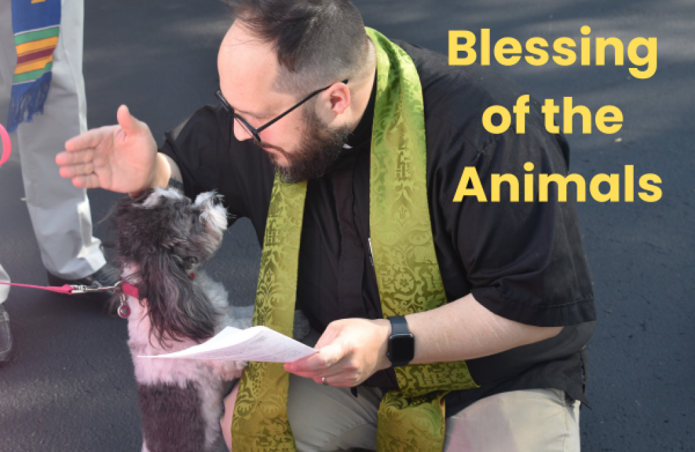 10:00 a.m. - Blessing of the Animals