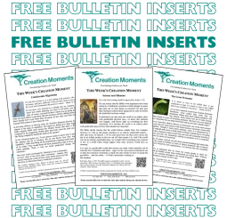 Church Bulletin Inserts