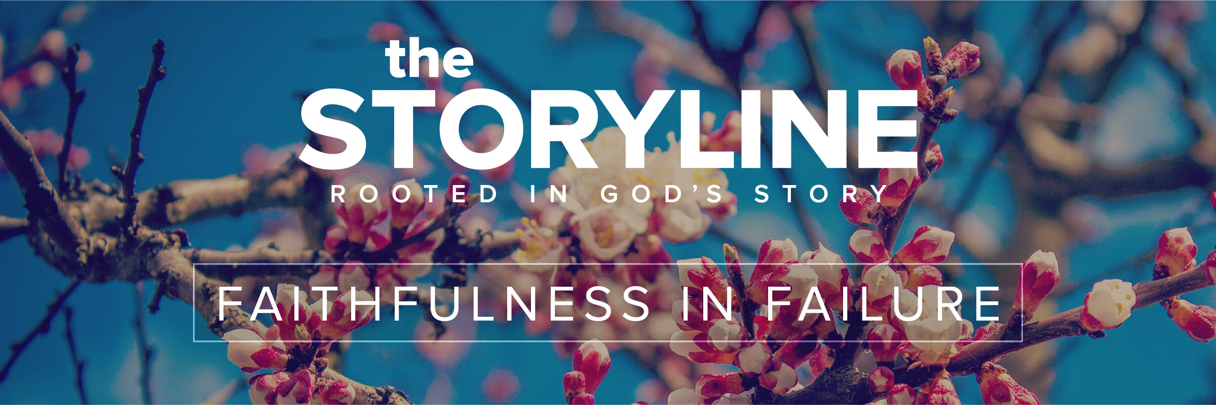 The Storyline | Generational Failure (Audio) episode artwork