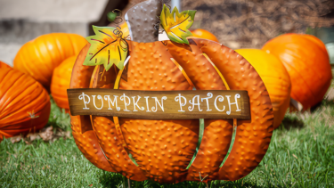 Pumpkin Patch Sign