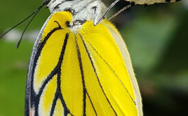 Transformed by the Power of the Resurrection