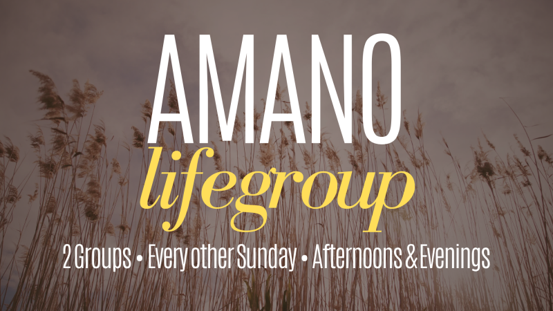 Amano Life Group