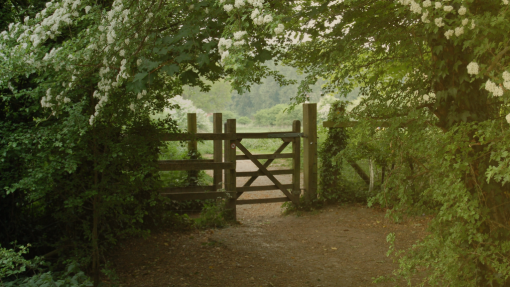 The Church's Partnership
