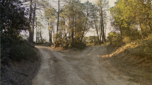 Whose Side Are You On?