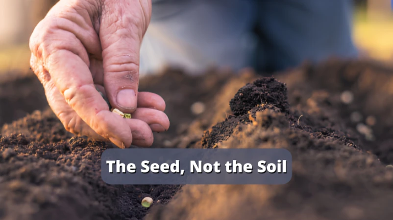 The Seed, Not the Soil
