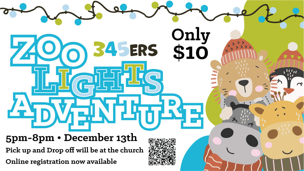 345ers Zoo Lights Adventure 