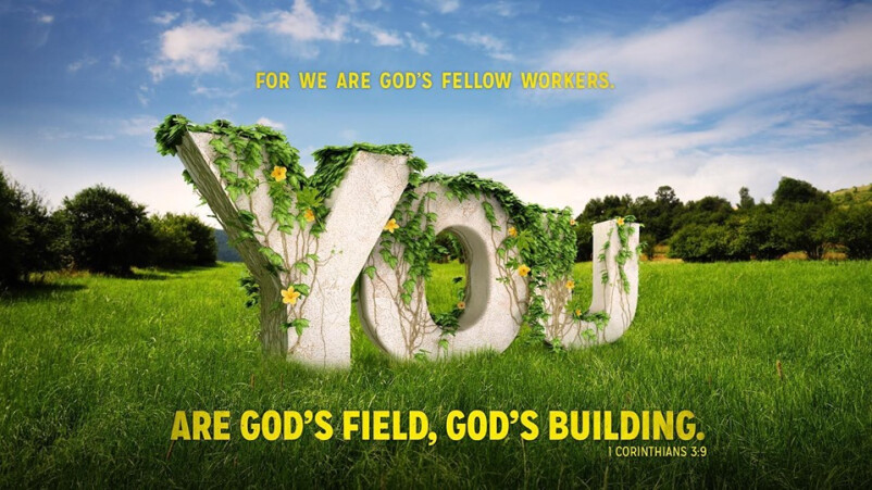 God Gives the Growth