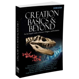 Creation Basics and Beyond