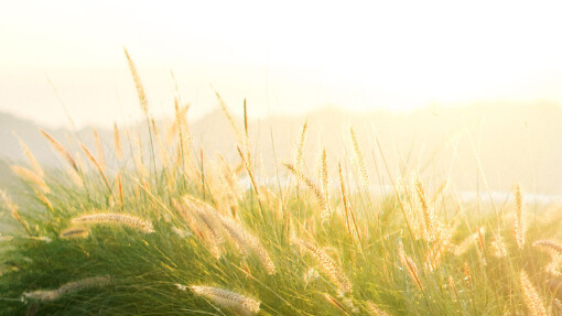 A Testimony of Healing from Abuse