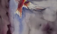 Dove