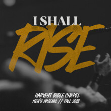 I Shall Rise