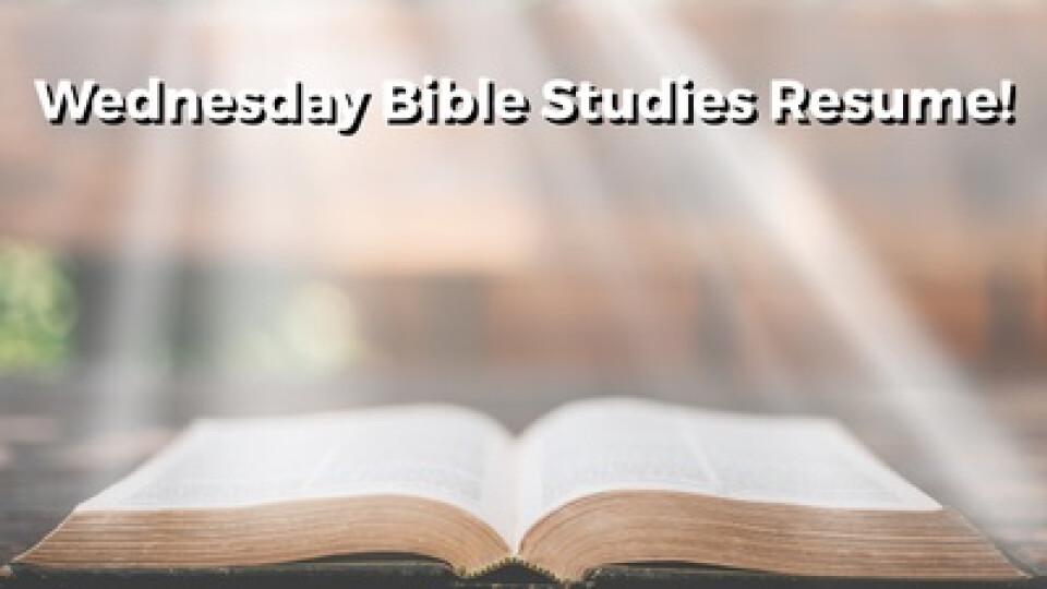 Wednesday Morning Bible Studies