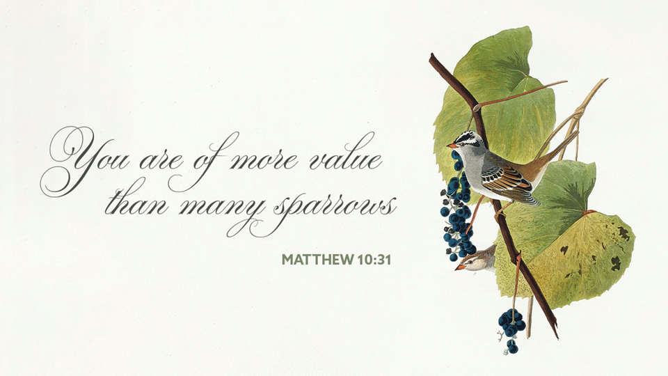 Online Worship: Sunday June 21