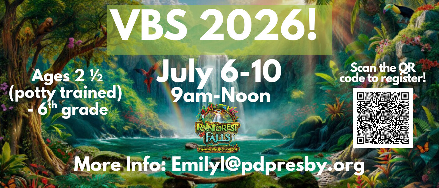 VBS 2026 Rainforest Falls