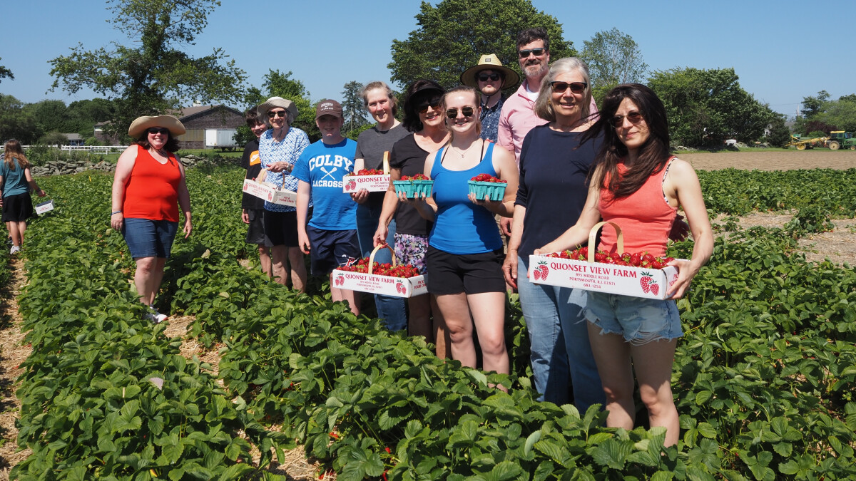 Strawberry Picking!