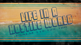 Life in a Hostile World