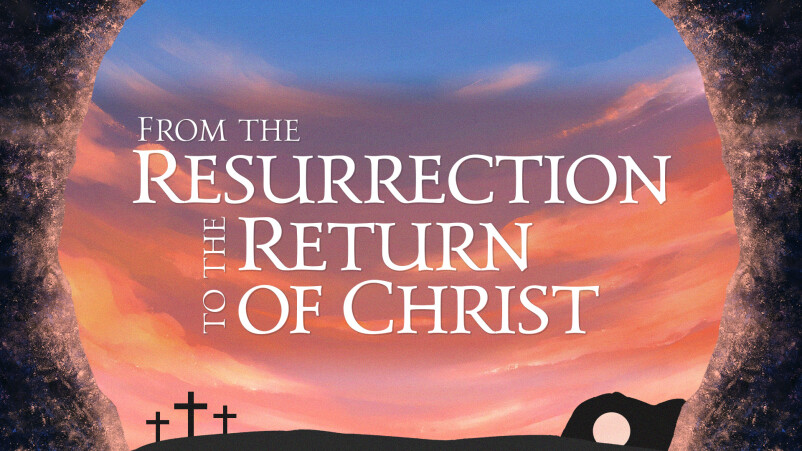 Our Final Destination