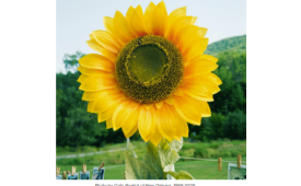 Parish News Spring 2026