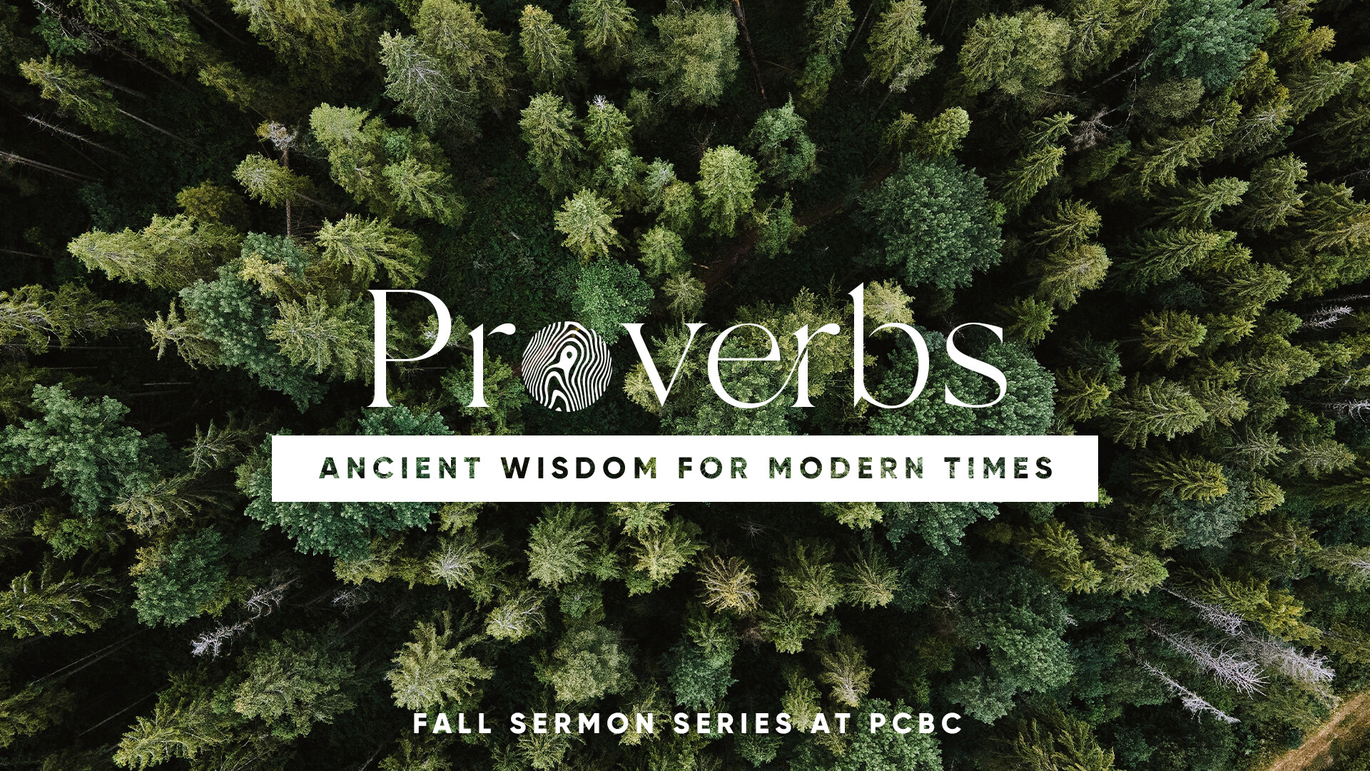 Proverbs Sermon Series | Park Cities Baptist Church