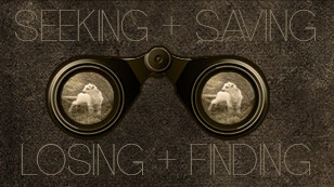Seeking, Saving, Losing, Finding