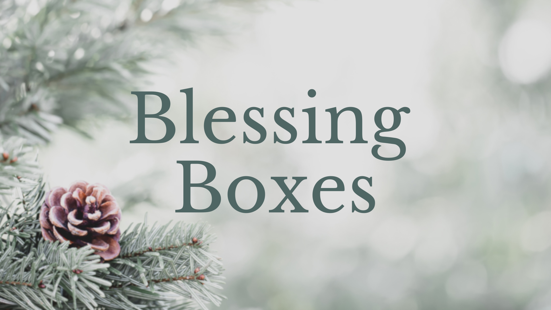Image for Blessing Boxes