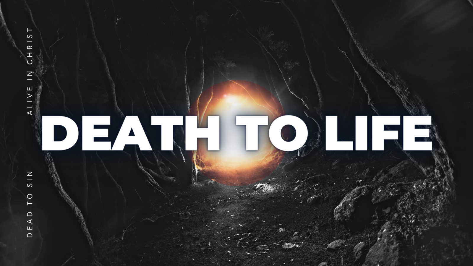 Death to Life: Dead to Sin - Alive in Christ