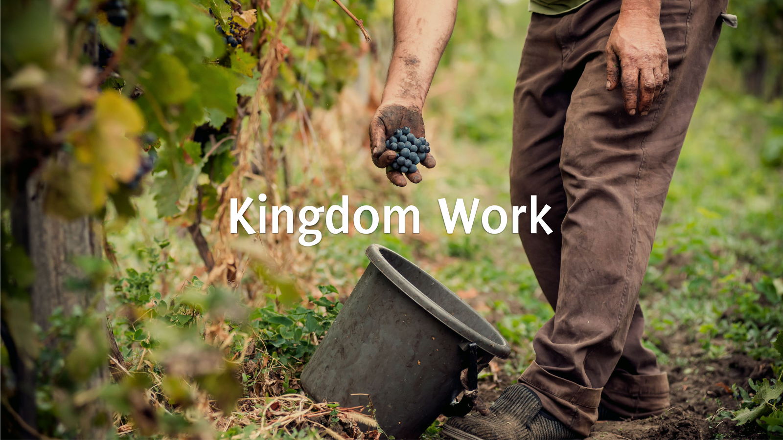 Kingdom Work