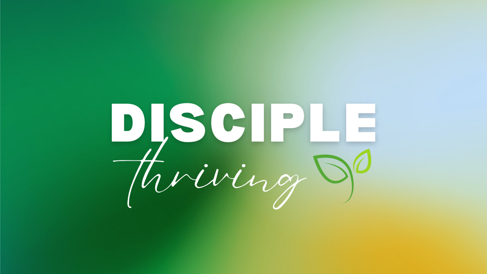 Disciple Thriving