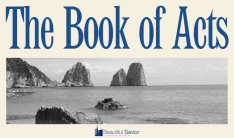 Bible Class- Book of Acts  - Sundays 10:45 AM