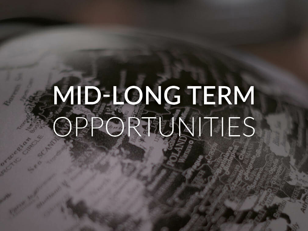 Mid-Long Term Opportunities