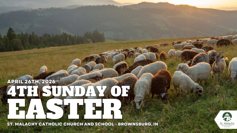 Fourth Sunday of Easter 2026