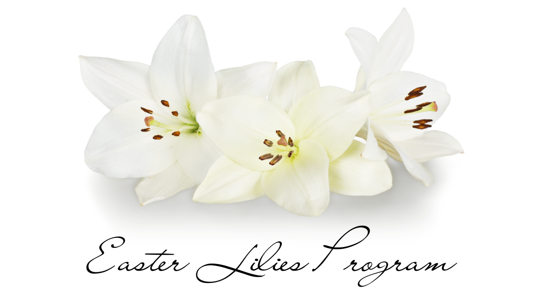 Easter Lily Dedication Program