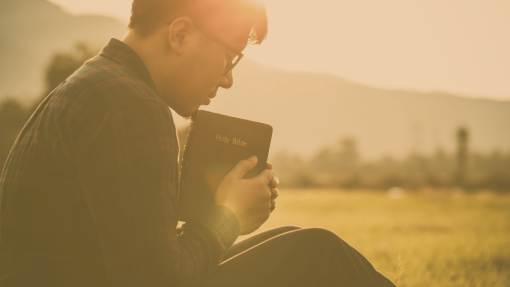 On The Wings Of His Love