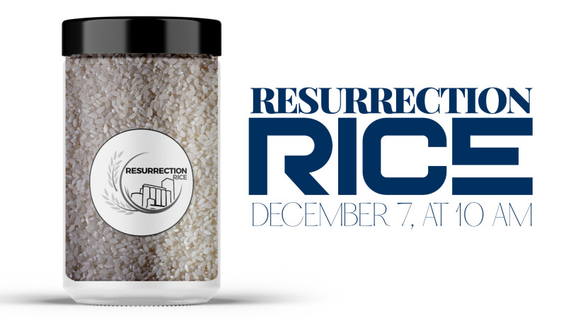 Resurrection Rice Collection