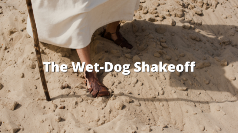 The Wet-Dog Shake-off