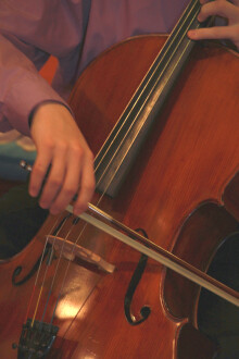 cellist - cellist performing for...