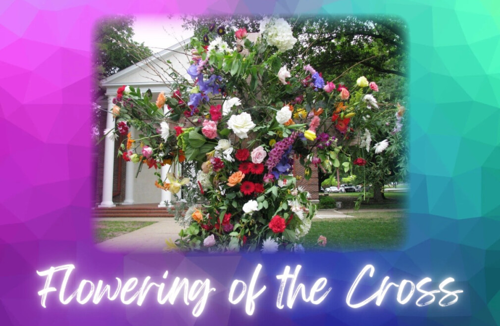 Flowering of the Cross
