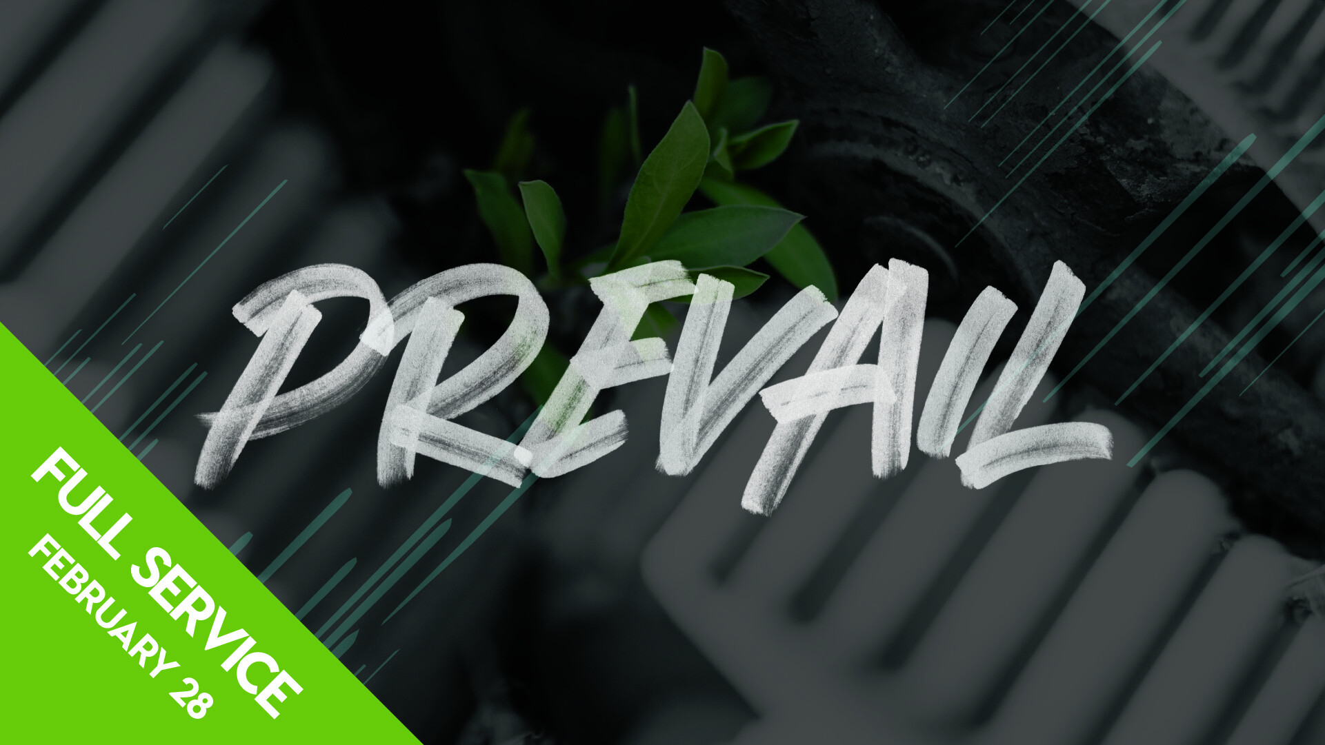 Prevail with Brotherly Kindness (Audio) episode artwork